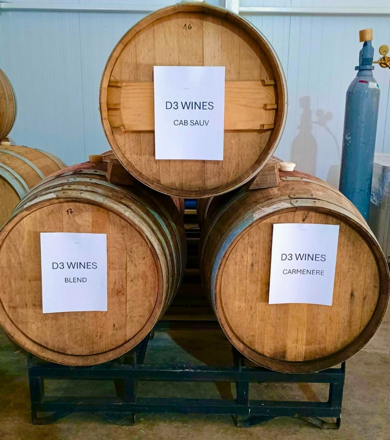 d3-wines-vinos-colchagua-chile-10
